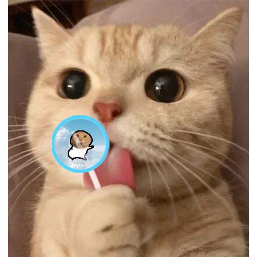 eat bbt